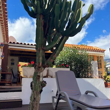 Cactus's House, 150 M Beach, 1 Bdr, 4 Guests, Wifi, Netflix, * Costa Adeje (Tenerife)